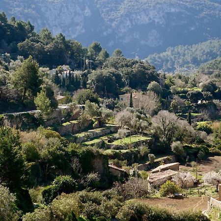 Casa Vell De Valldemossa Exteriör bild